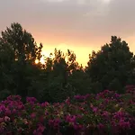 Marta - Montgo